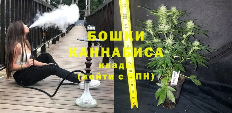 Марихуана SATIVA & INDICA  Палласовка 